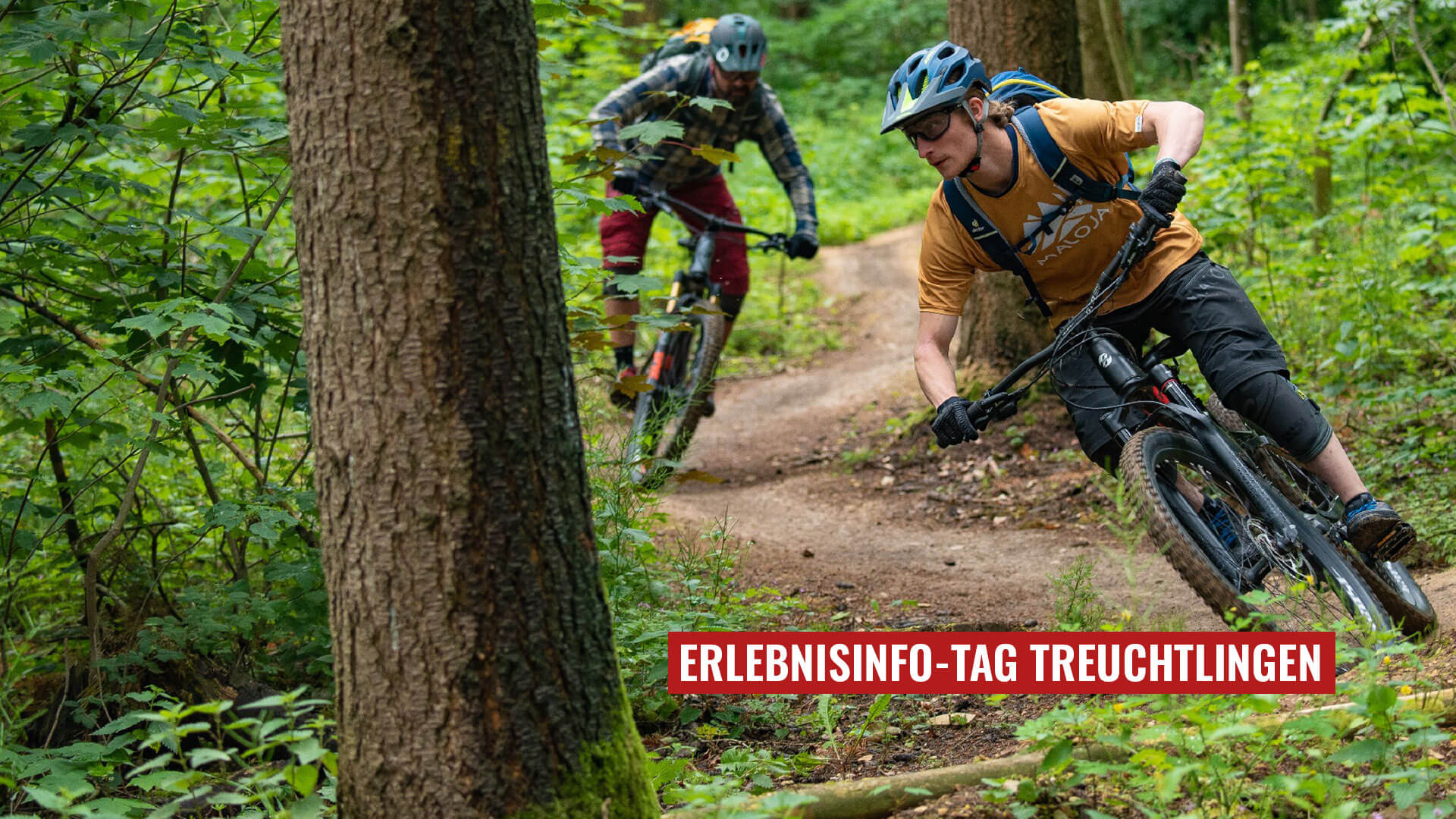 Zwei Mountainbiker im Wald